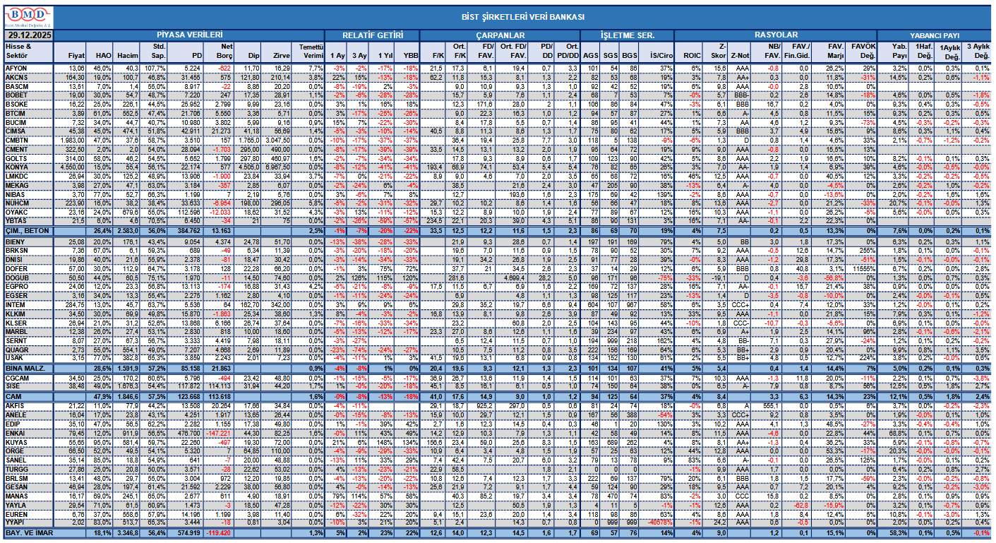 BİST şirketleri veri bankası