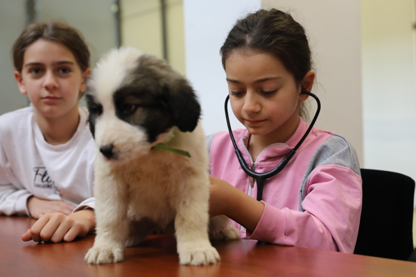 Bursa’da Bir Günlüğüne Veteriner Hekim Oluyorum” etkinliği