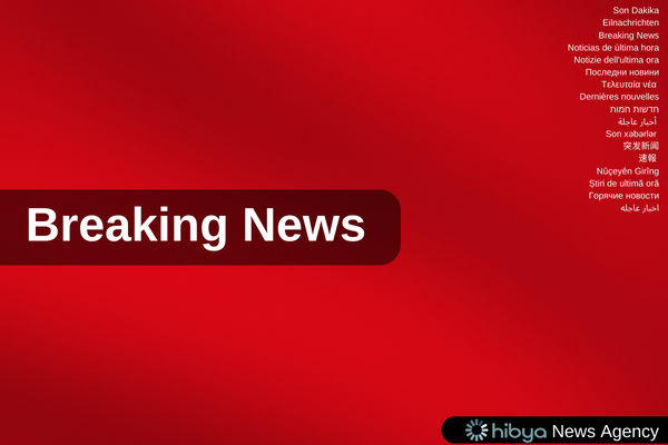 Polonya’da bir kişi Noel pazarına bombalı saldırı planlamak şüphesiyle gözaltına alındı