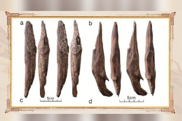 CMG, 2025’in en önemli 10 iç ve dış arkeoloji haberini belirledi