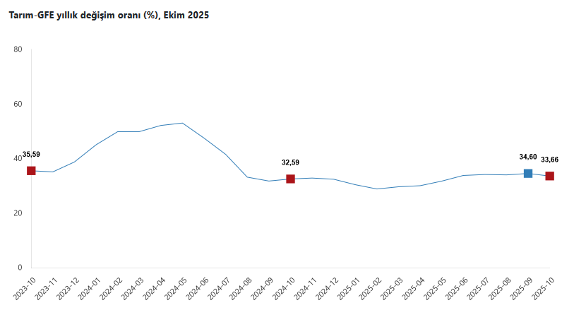 TÜİK- Tarım-GFE yıllık yüzde 33,66 arttı, aylık yüzde 2,04 arttı