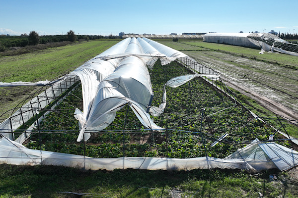 Antalya’da hortumdan zarar gören seralarda inceleme yapıldı