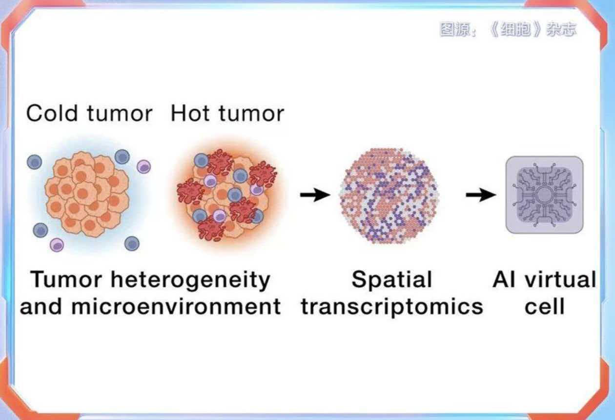 CMG, 2025’e damgasını vuran bilim ve teknoloji haberlerini belirledi