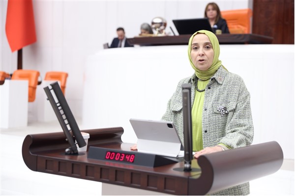 DEVA Partili Esen: Ulusal Çocuk İzlem Sistemi bütçenin ana gündemi olmalı