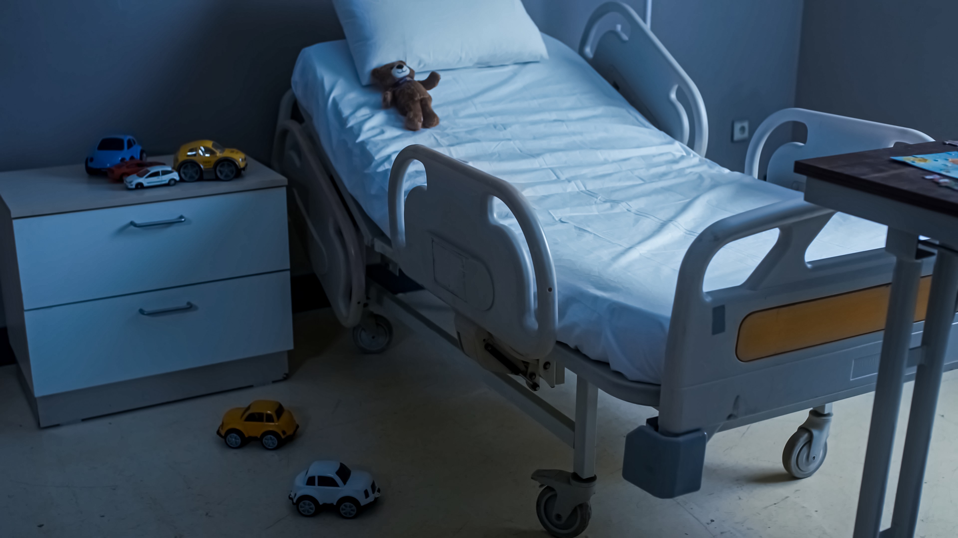 KAÇUV: “25 yıldır her gün, çaresiz hisseden kalplere umut olmak için uyanıyoruz!”