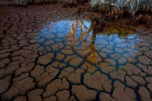 Araştırma: İklim bozulması nedeniyle Avrupa’nın su rezervleri kuruyor