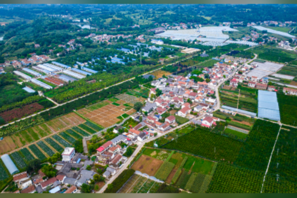 Cumhurbaşkanı Xi kırsal kalkınma için yeni talimatlar verdi