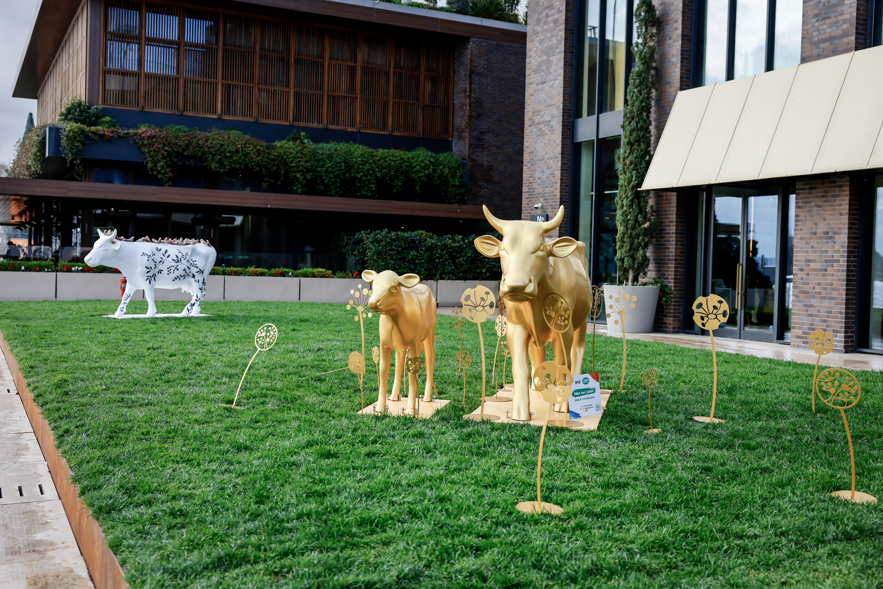 Sütaş’ın mutlu inekleri, sanatçıların tasarımları ile şehre geldi