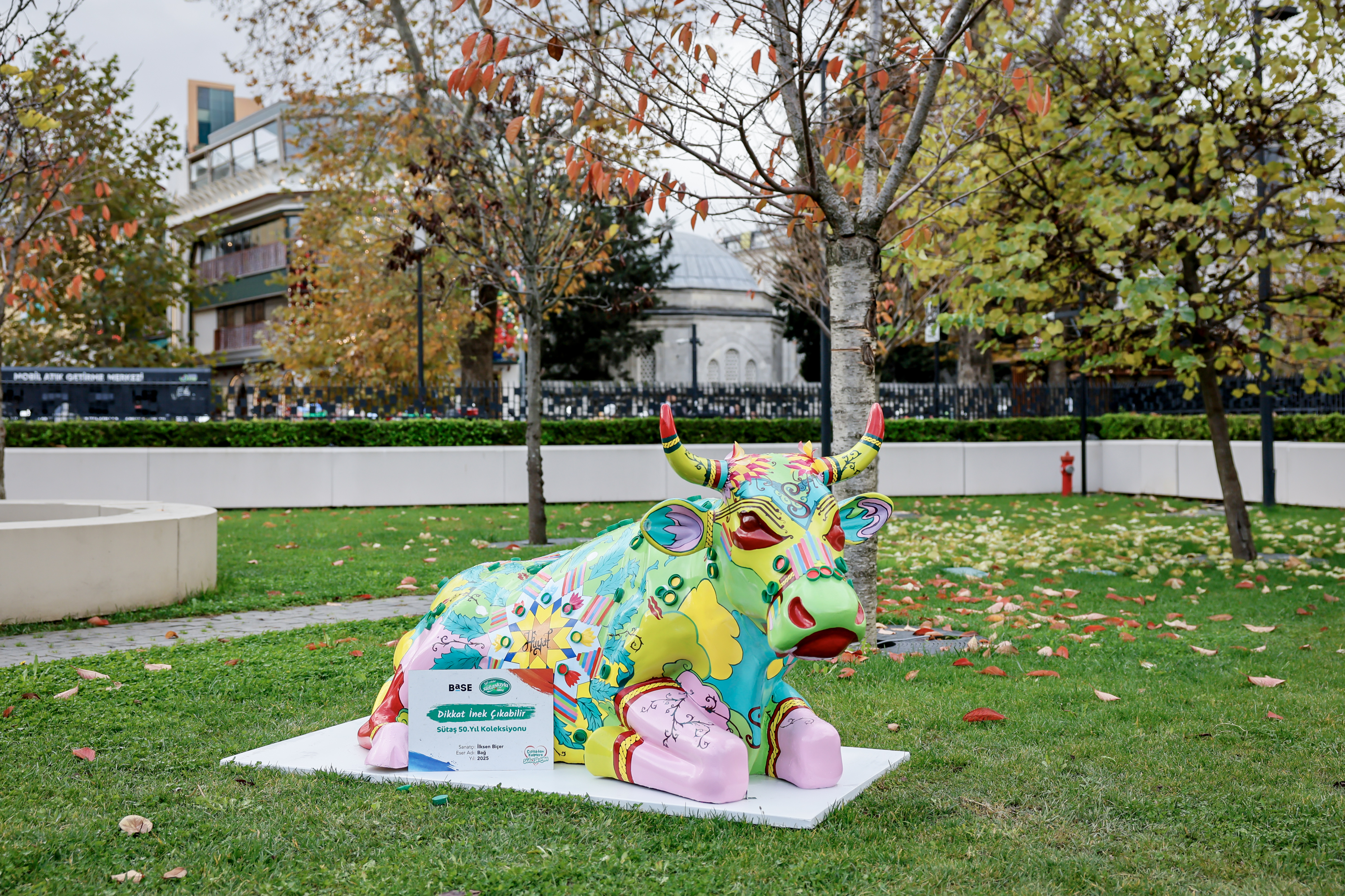 Sütaş’ın mutlu inekleri, sanatçıların tasarımları ile şehre geldi