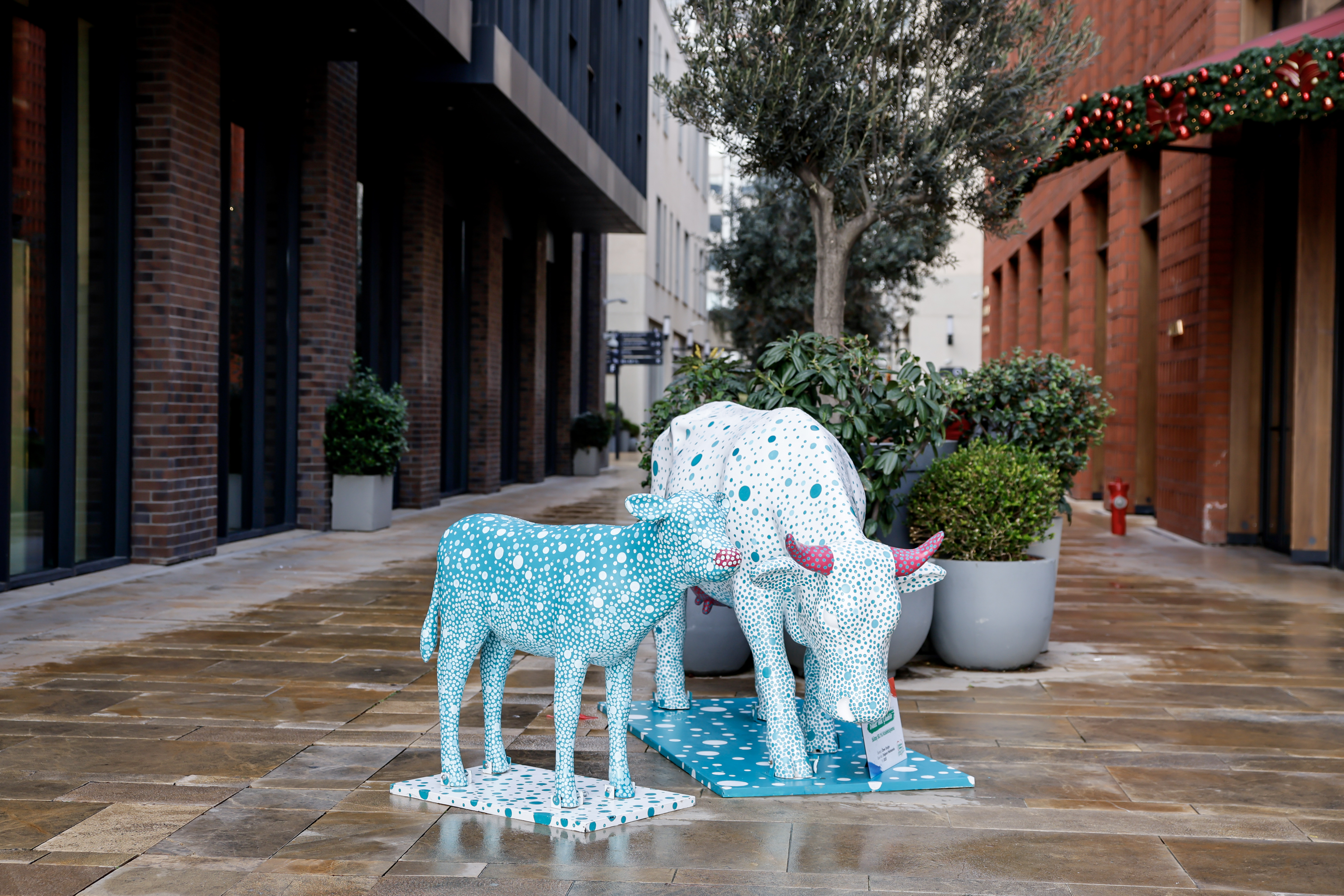 Sütaş’ın mutlu inekleri, sanatçıların tasarımları ile şehre geldi