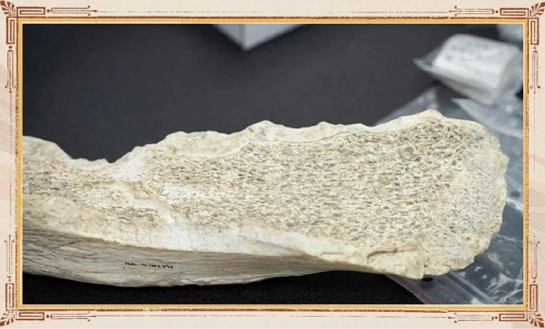 CMG, 2025’in en önemli 10 iç ve dış arkeoloji haberini belirledi