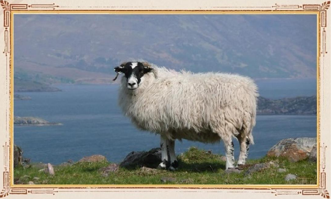 CMG, 2025’in en önemli 10 iç ve dış arkeoloji haberini belirledi