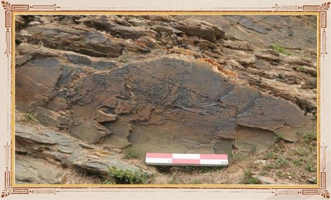 CMG, 2025’in en önemli 10 iç ve dış arkeoloji haberini belirledi