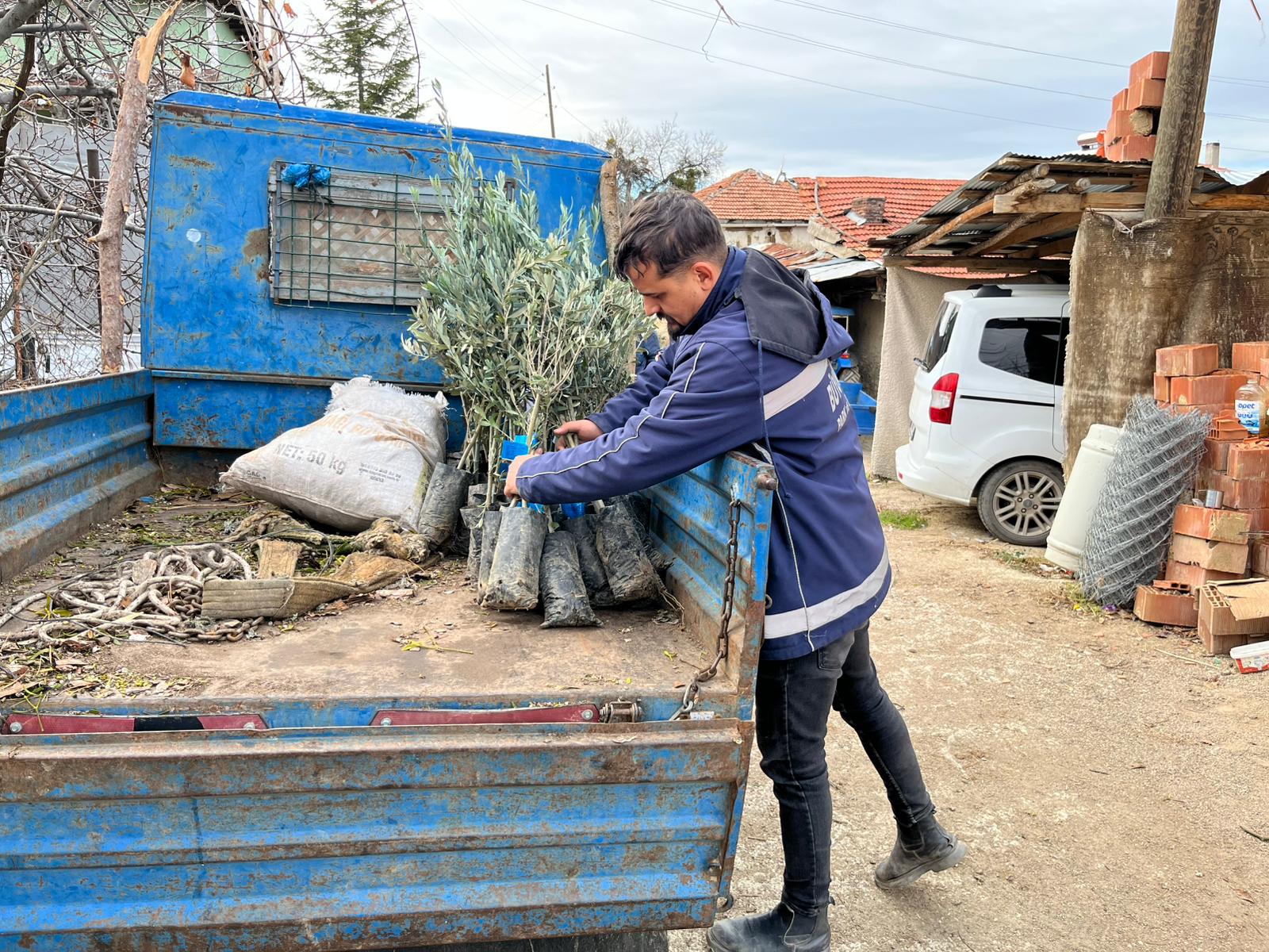Eskişehir’de üreticilere mavi sertifikalı zeytin fidanı dağıtıldı