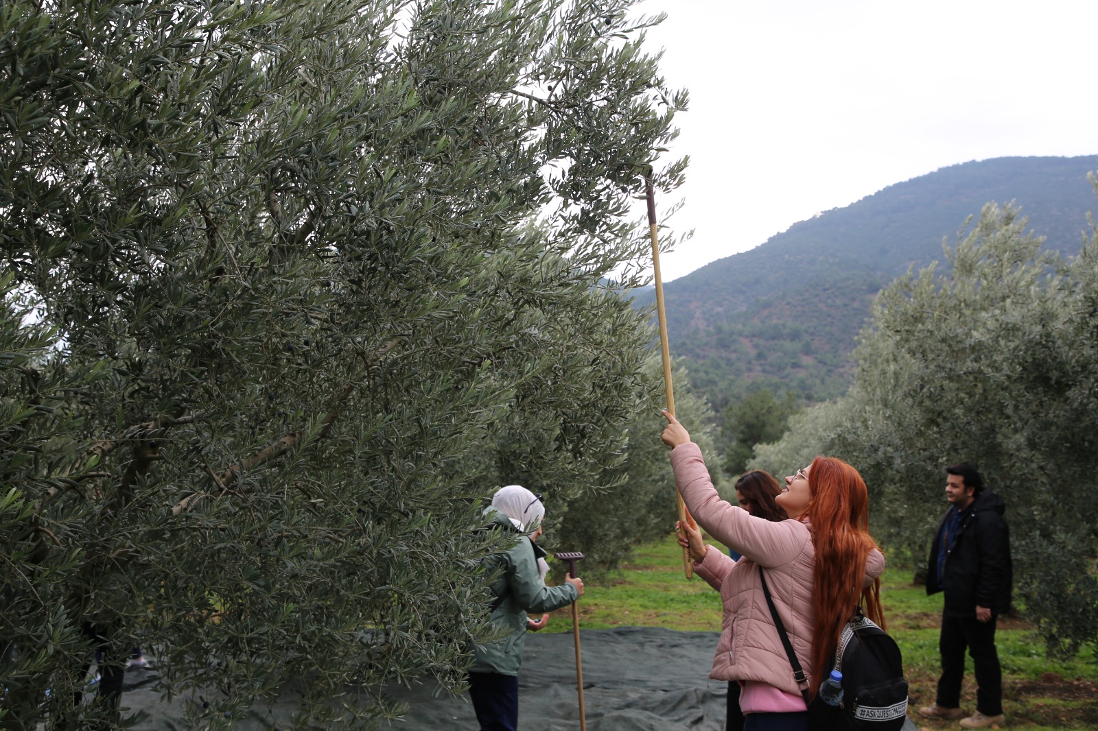 Eskişehirli gençler, zeytinin yolculuğunu öğrendi