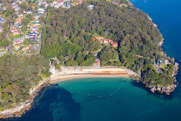 Sydney’de meydana gelen köpekbalığı saldırısında bir çocuk hayati tehlike altında