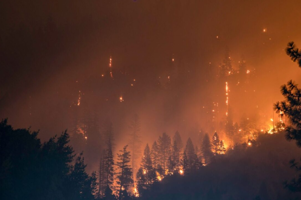 2025, kayıtlara geçen en sıcak üçüncü yıl oldu