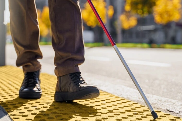 Önder: Görme engelli bireyler yardım değil, haklarını istiyor