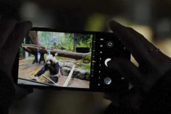 Binlerce Japon, Çin’e iade edilecek dev pandalarına veda etti