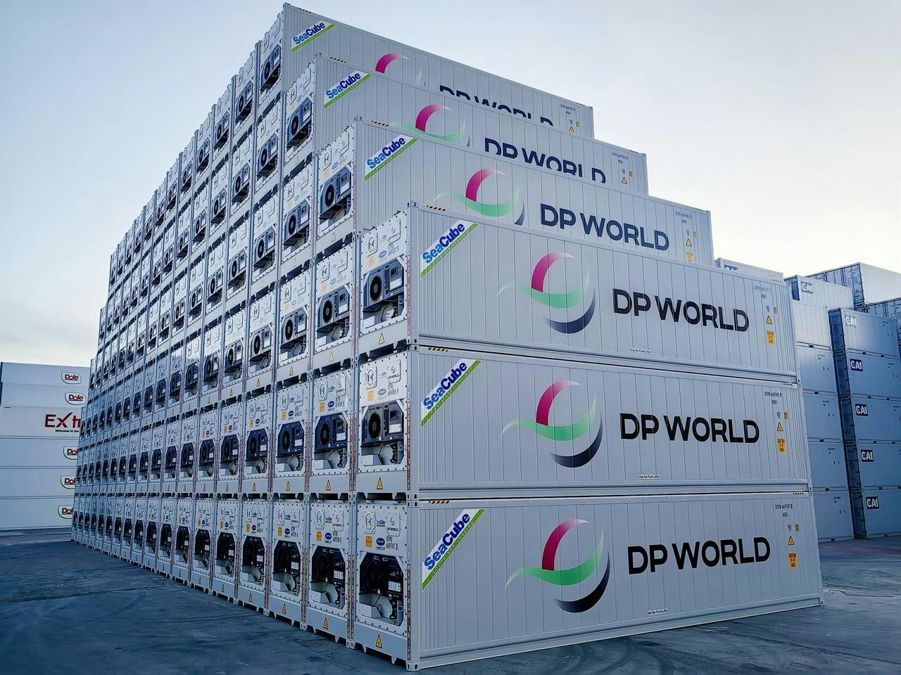 DP World, Türkiye yumurta üreticilerini Orta Doğu ve ABD’ye bağlayan soğuk zinciri açtı