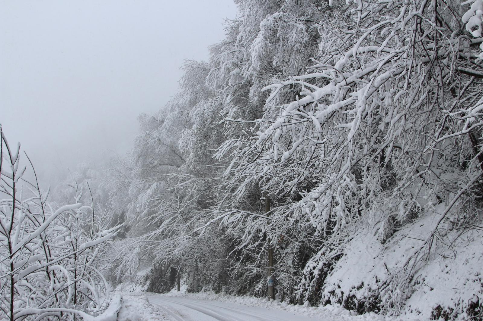 Giresun’da kar küreme çalışmaları yapıldı