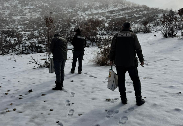 Batman’da yaban hayvanları için doğaya yem bırakıldı