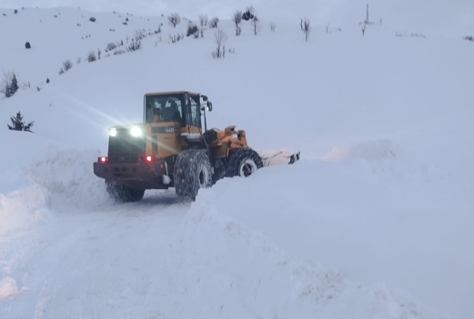 Siirt’te karla mücadele çalışmaları