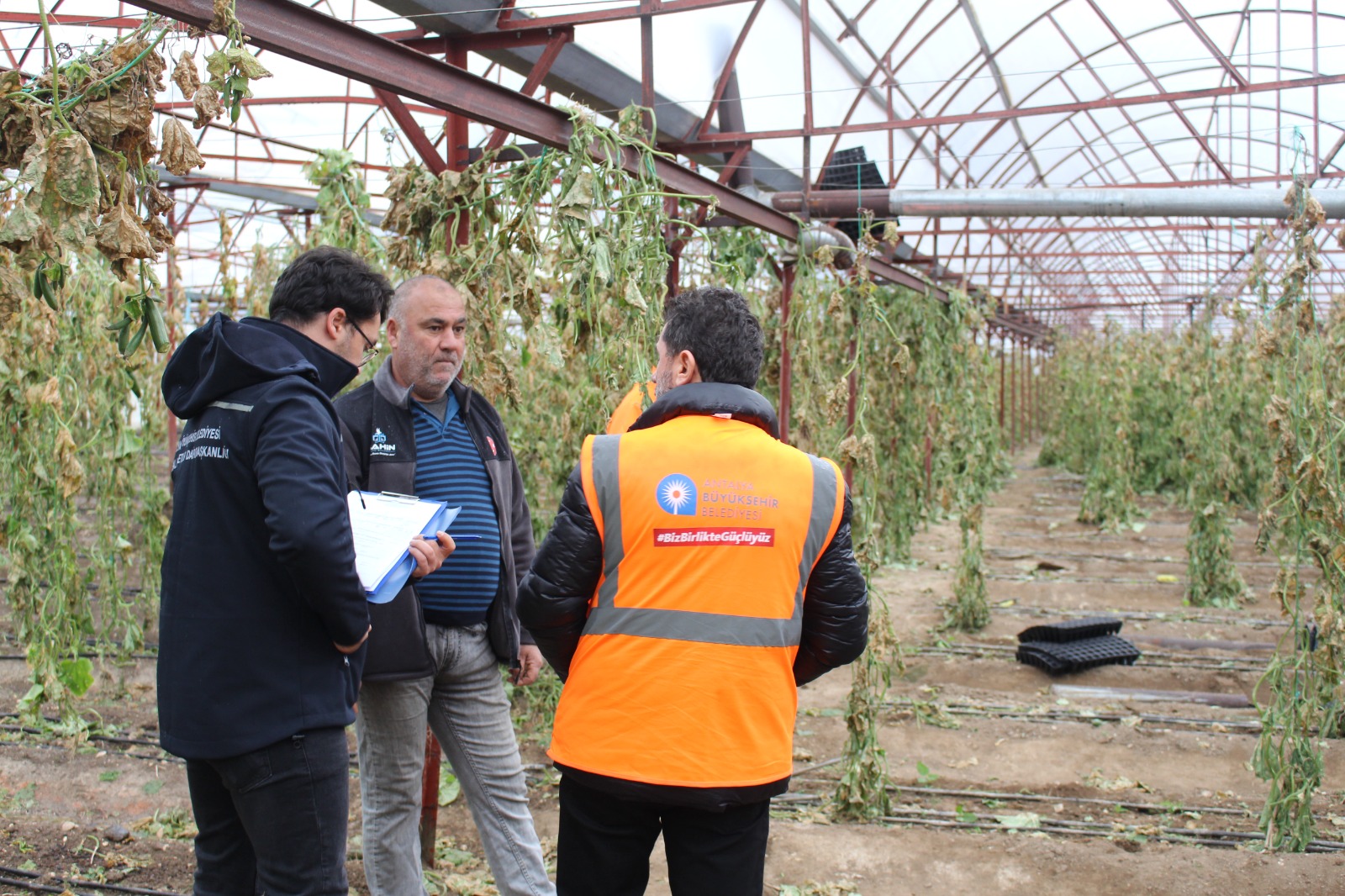 Finike’de hortumdan zarar gören seralarda hasar tespiti yapıldı