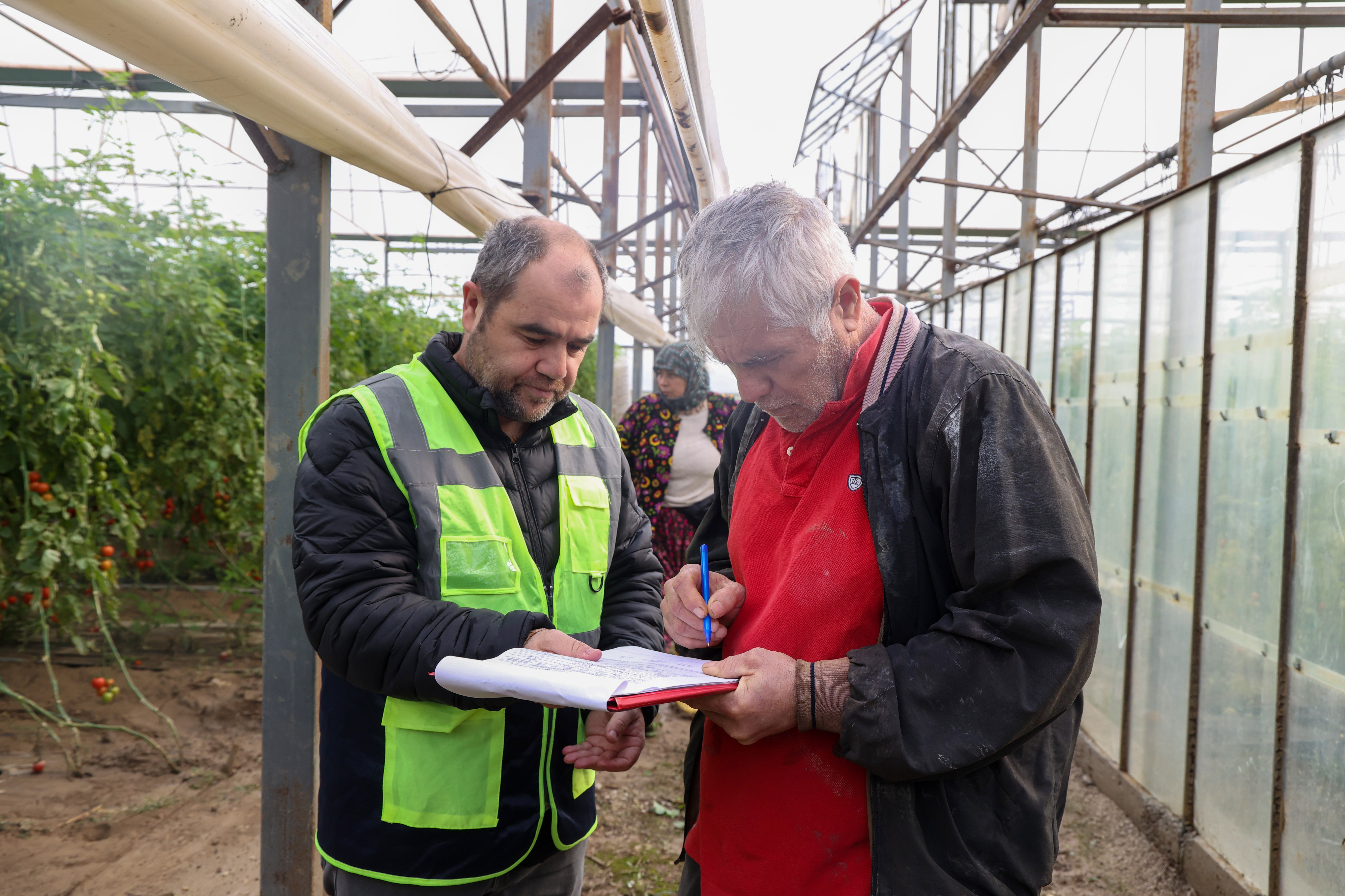 Antalya’da afetten zarar gören seralarda hasar tespiti yapılıyor