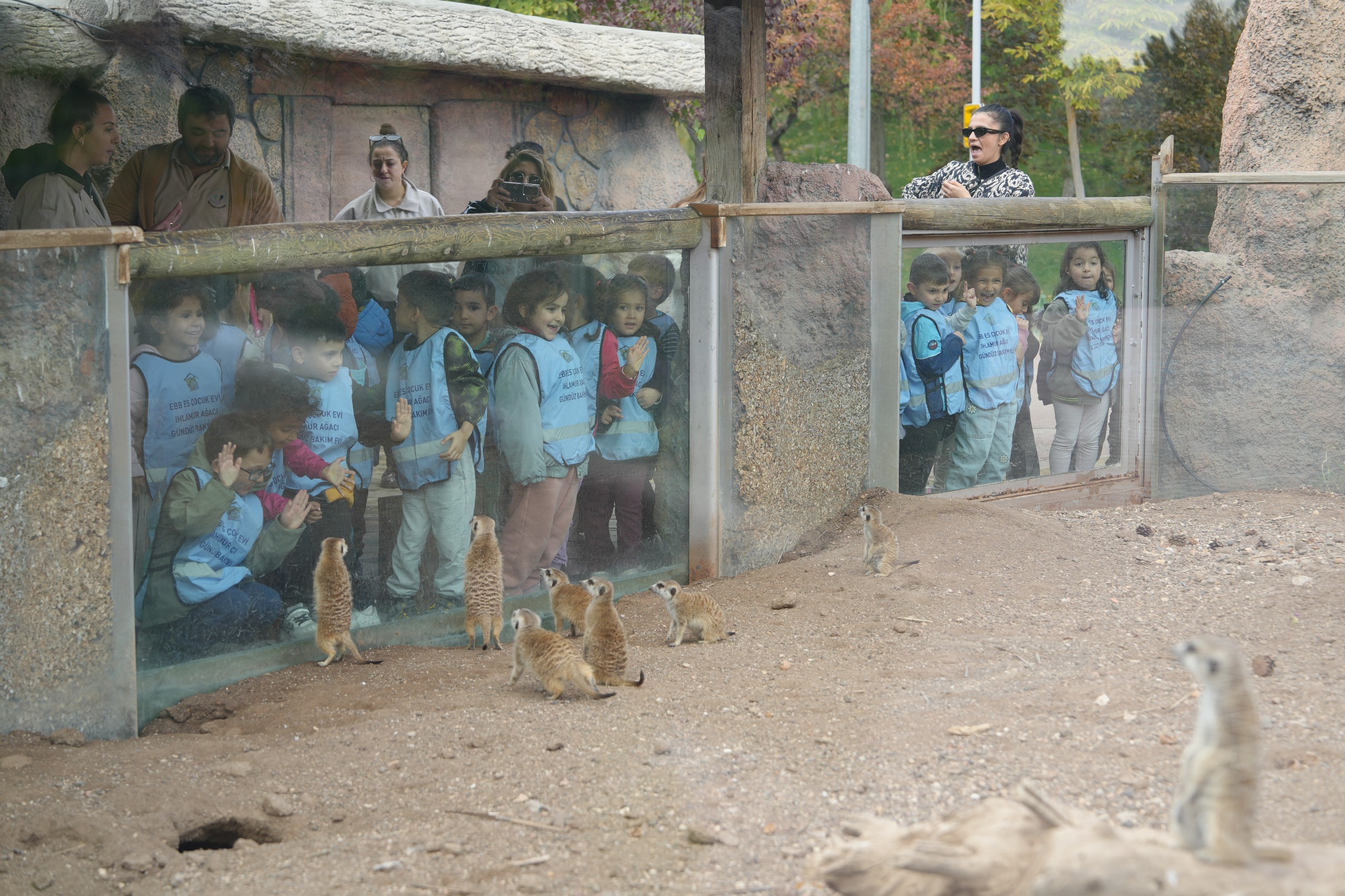 Başkan Ünlüce: Eskişehir hayvan dostu ve doğaya saygılı bir kent