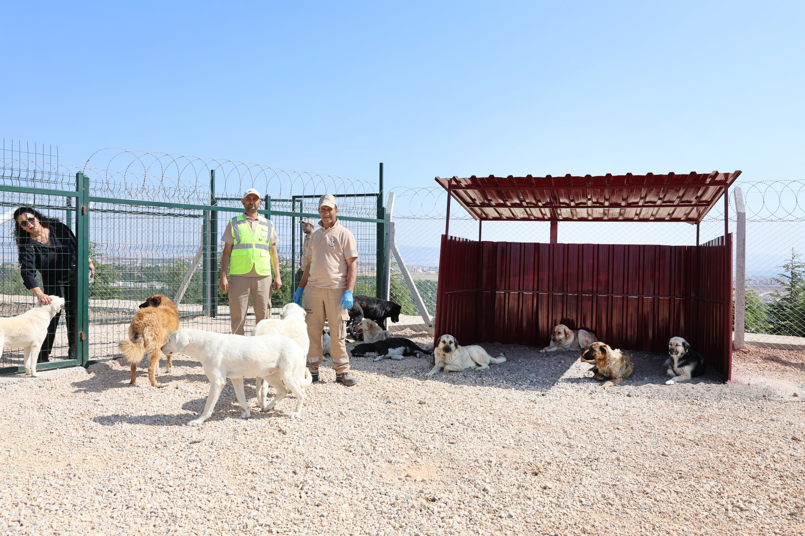 Başkan Ünlüce: Eskişehir hayvan dostu ve doğaya saygılı bir kent