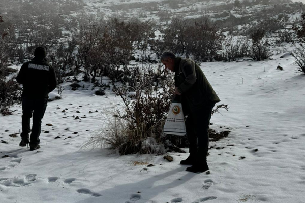 Batman’da yaban hayvanları için doğaya yem bırakıldı