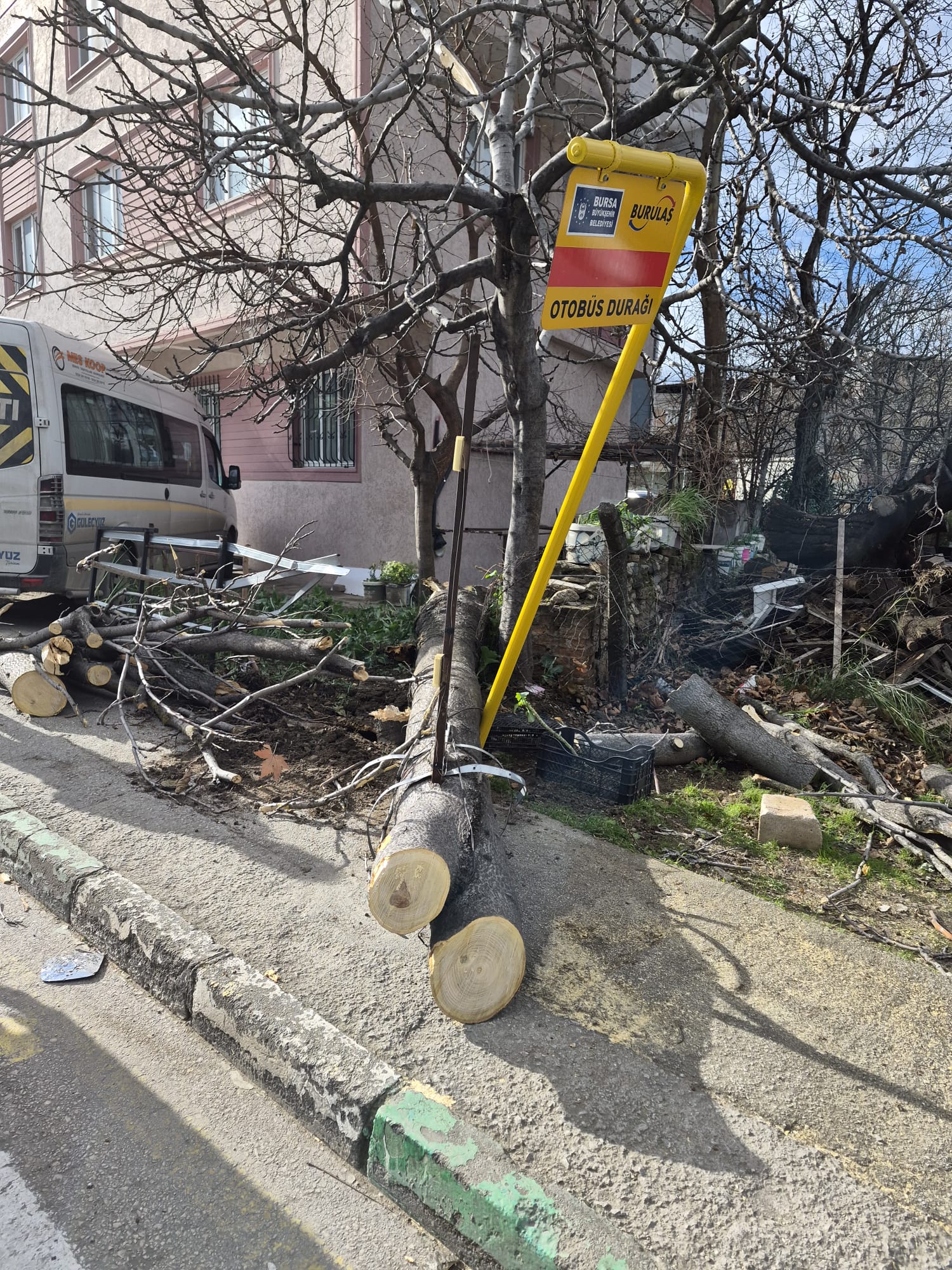 Bursa genelinde etkili olan lodosa yönelik çalışma