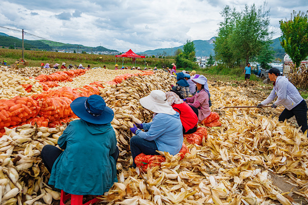 Çin’de köylülerin kişi başı geliri yüzde 6 arttı