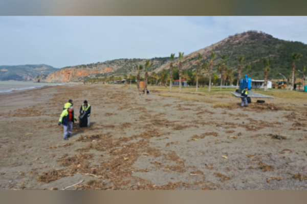 Gazipaşa’da yağışların ardından sahillerde temizlik çalışması başlatıldı