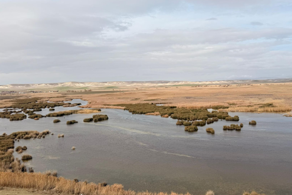 Eskişehir’de doğaya ve geleceğe yönelik etkinlik