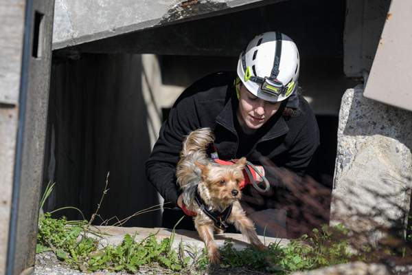 İzmir’de afetzede hayvanlar için arama kurtarma eğitimi verildi