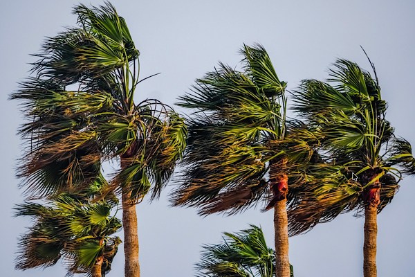 Meteoroloji’den Kuzey Ege için fırtına uyarısı