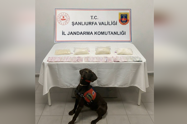 Haliliye’de uyuşturucu operasyonu