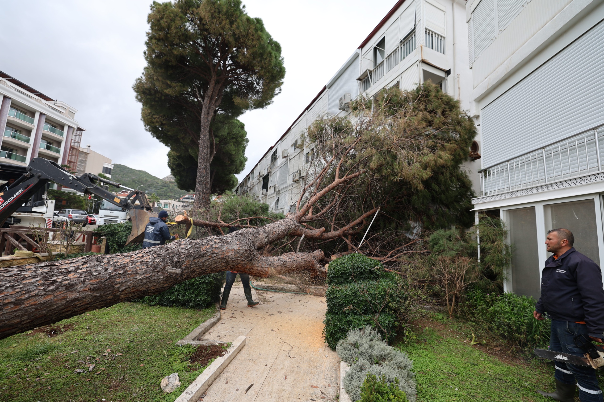 Marmaris’te devrilen 220 ağaca müdahale edildi