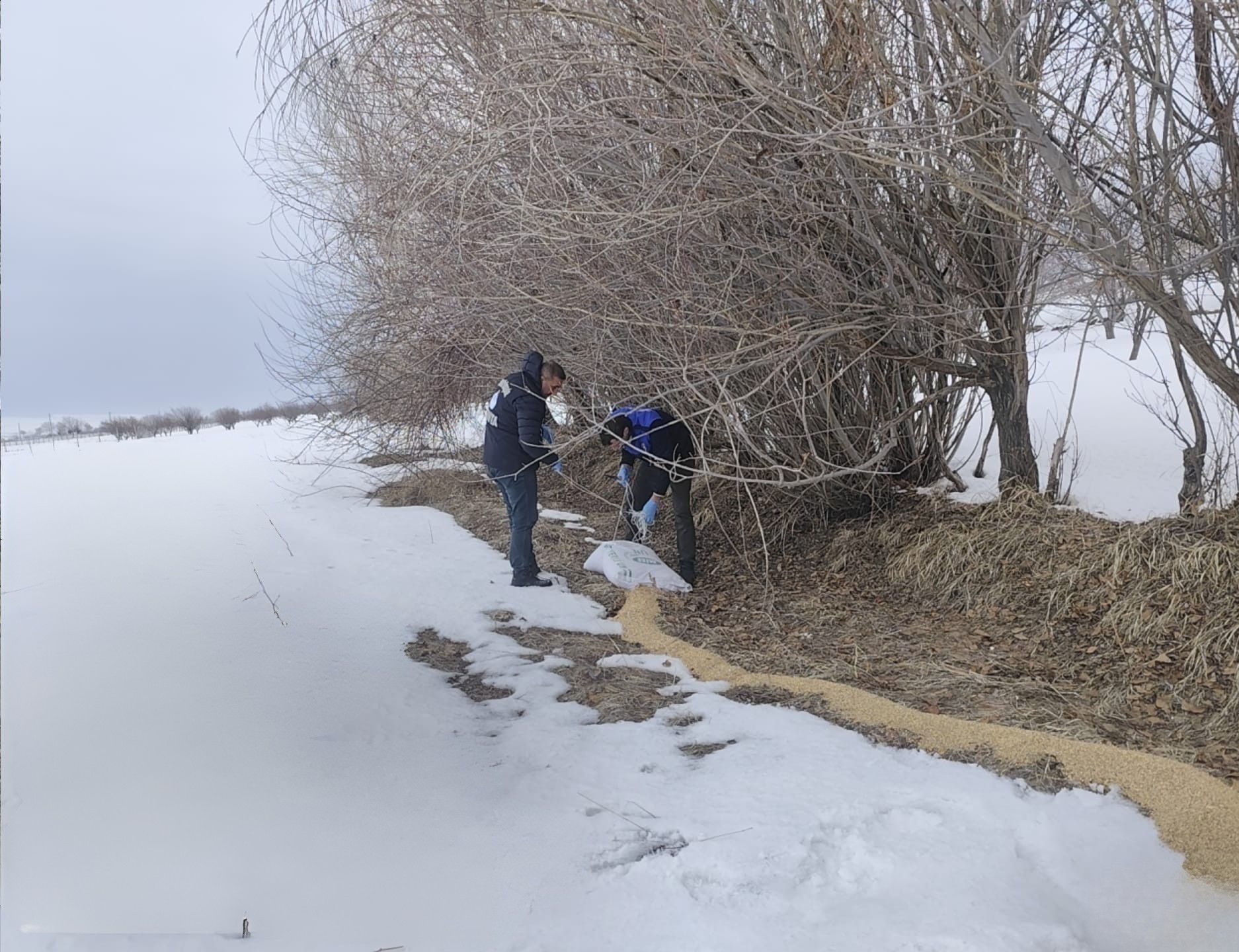 Van Büyükşehir Belediyesi’nden yaban hayatına yem desteği
