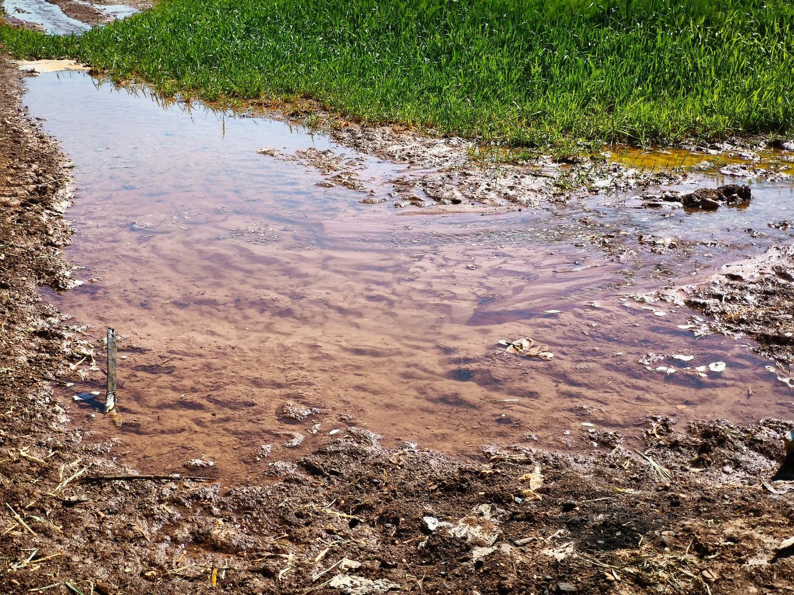 Şanlıurfa’da elektriğin yarısı kaçak tüketiliyor
