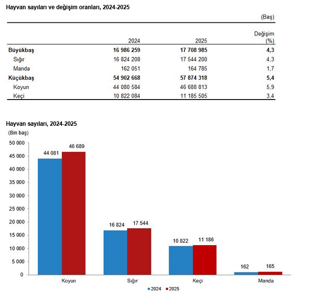Büyükbaş hayvan sayısı yıllık yüzde 4,3 arttı