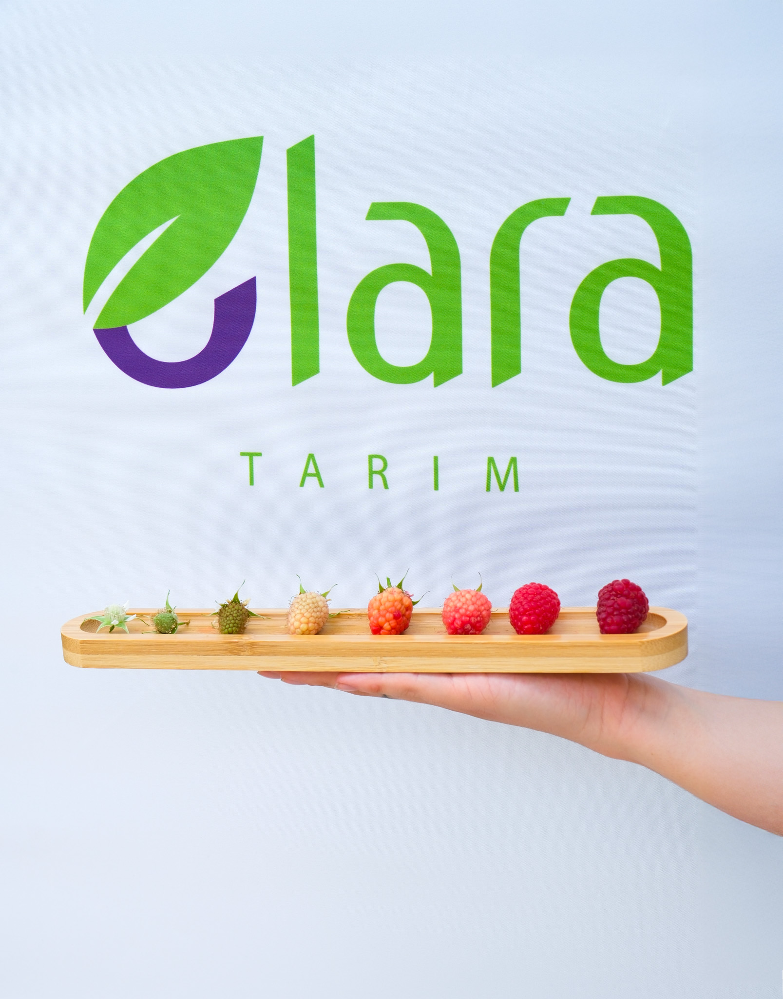 Seralarda sel felaketine Elara Tarım’dan dirençli çözüm