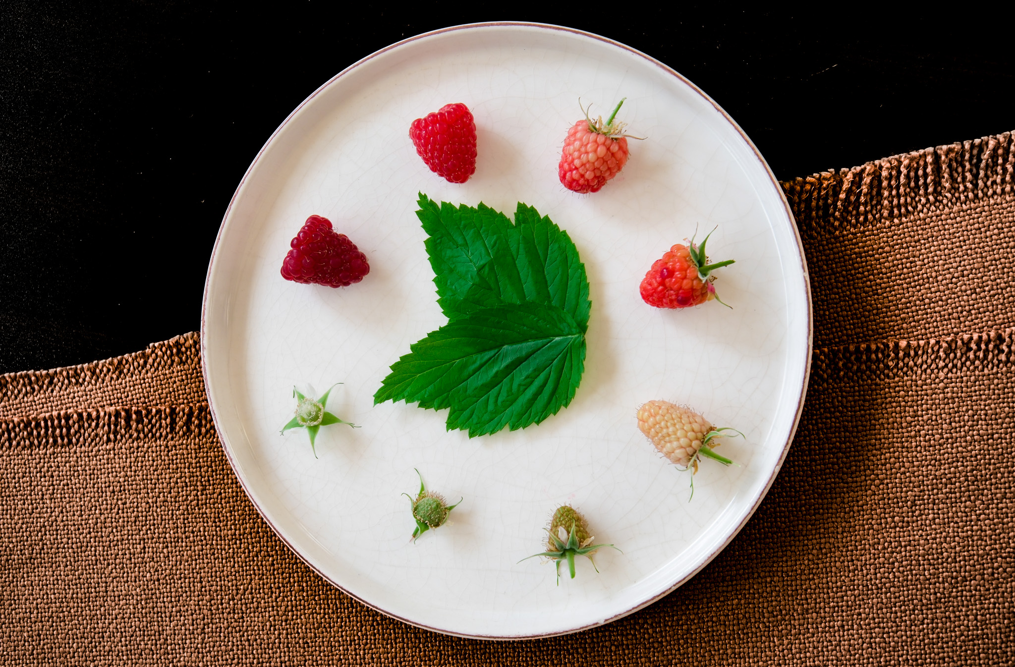 Seralarda sel felaketine Elara Tarım’dan dirençli çözüm