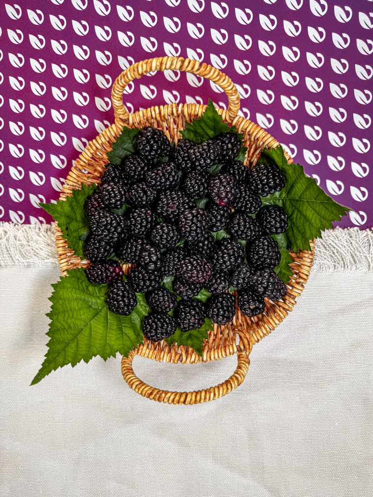 Seralarda sel felaketine Elara Tarım’dan dirençli çözüm