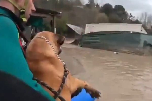 Portekiz’de sellerde binlerce kişi tahliye edildi, yol çöktü, içişleri bakanı istifa etti