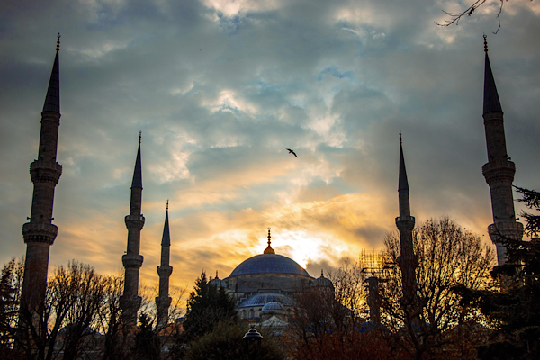 Bakan Ersoy: Tarihi camilerimizi, ramazan ayı ile birer birer yeniden ibadete açıyoruz