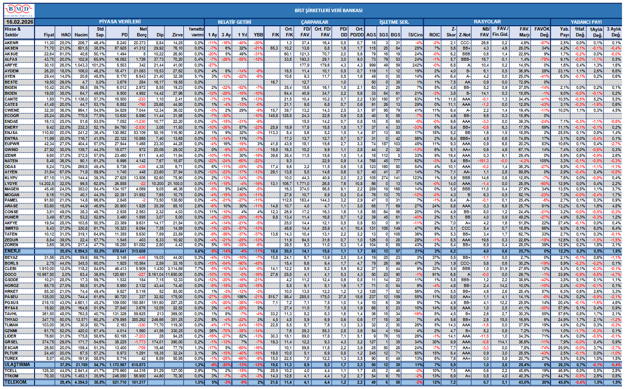 BİST şirketleri veri bankası