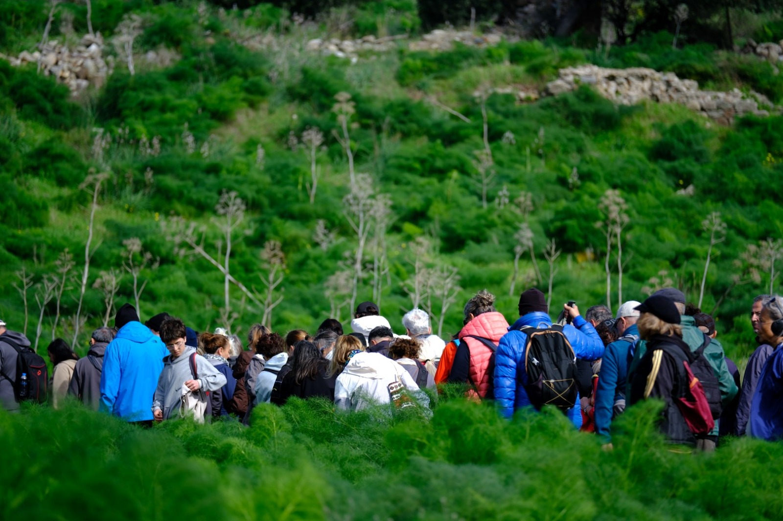 Kültür ve Doğa Yürüyüşü, Myndos Antik Kenti’nde gerçekleşti